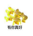 butterfly orchid flower combination（個別スタンプ：6）