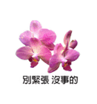 butterfly orchid flower combination（個別スタンプ：8）