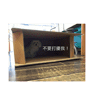 dogdogwowwow（個別スタンプ：15）