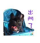 French Bulldog Funny daily 2（個別スタンプ：10）