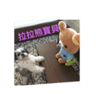 hello  dog（個別スタンプ：7）