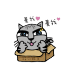 Thick eyebrows Cats（個別スタンプ：7）