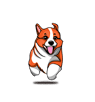 Sammie the corgi（個別スタンプ：2）