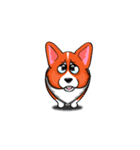 Sammie the corgi（個別スタンプ：3）