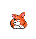 Sammie the corgi（個別スタンプ：4）