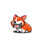 Sammie the corgi（個別スタンプ：5）