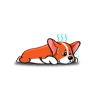 Sammie the corgi（個別スタンプ：7）