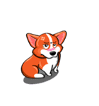 Sammie the corgi（個別スタンプ：8）