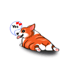 Sammie the corgi（個別スタンプ：11）