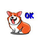 Sammie the corgi（個別スタンプ：12）