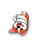 Sammie the corgi（個別スタンプ：16）