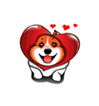 Sammie the corgi（個別スタンプ：21）