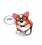 Sammie the corgi（個別スタンプ：22）