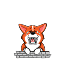 Sammie the corgi（個別スタンプ：24）