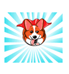 Sammie the corgi（個別スタンプ：32）