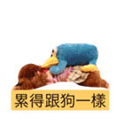 Poodle kitty daily（個別スタンプ：10）