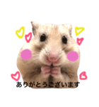 hamster-sugar-oimo（個別スタンプ：8）