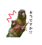 敬語を話すウロコインコ（個別スタンプ：2）