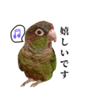 敬語を話すウロコインコ（個別スタンプ：8）