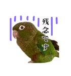 敬語を話すウロコインコ（個別スタンプ：13）