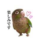 敬語を話すウロコインコ（個別スタンプ：15）