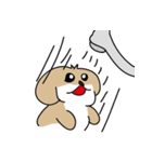 The dog do-do（個別スタンプ：5）