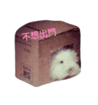 very cute rabbit big head（個別スタンプ：4）