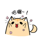 Tea Color Cat ＆ pink rabbit（個別スタンプ：1）