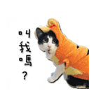 siao miao 2（個別スタンプ：7）