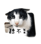 siao miao 2（個別スタンプ：15）