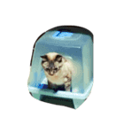 とってもきなこ（個別スタンプ：4）