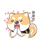 EESA Shiba Inu Chaoyuan rolling map（個別スタンプ：3）