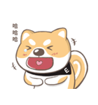 EESA Shiba Inu Chaoyuan rolling map（個別スタンプ：6）