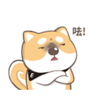 EESA Shiba Inu Chaoyuan rolling map（個別スタンプ：12）