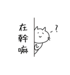 The cat is white.（個別スタンプ：16）