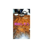 pu-tapu-ta（個別スタンプ：4）