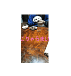 pu-tapu-ta（個別スタンプ：5）