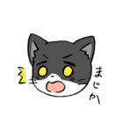 ミリタリーにゃんこ（個別スタンプ：8）