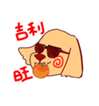 Wang Wang Dog（個別スタンプ：5）