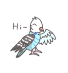 Haitai parrot（個別スタンプ：1）