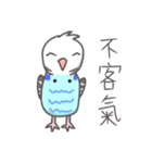 Haitai parrot（個別スタンプ：6）