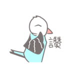 Haitai parrot（個別スタンプ：9）
