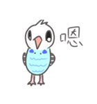 Haitai parrot（個別スタンプ：16）