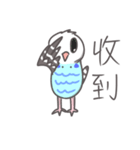 Haitai parrot（個別スタンプ：25）