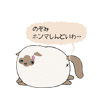 おならで喋るねこ（のぞみ）（個別スタンプ：29）