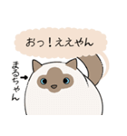 おならで喋るねこ（まるちゃん）（個別スタンプ：8）