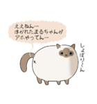 おならで喋るねこ（まるちゃん）（個別スタンプ：21）