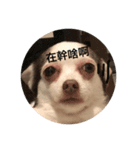 Dirty LuLu（個別スタンプ：2）
