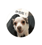 Dirty LuLu（個別スタンプ：8）