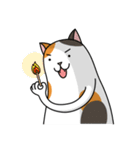 Chubby Calico Cat（個別スタンプ：3）